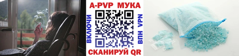 дарнет шоп  Калач-на-Дону  A PVP СК 