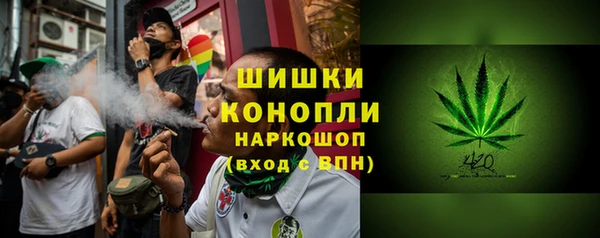 гашик Алексеевка