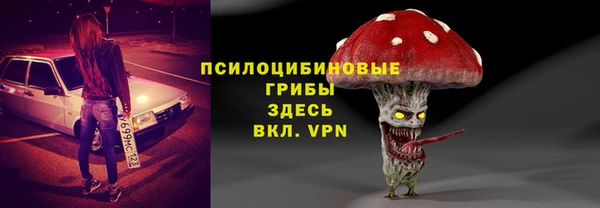 гашик Алексеевка