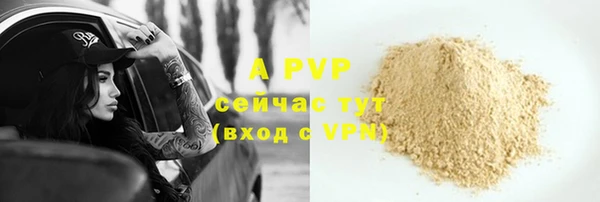 гашик Алексеевка