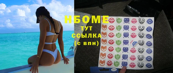 гашик Алексеевка