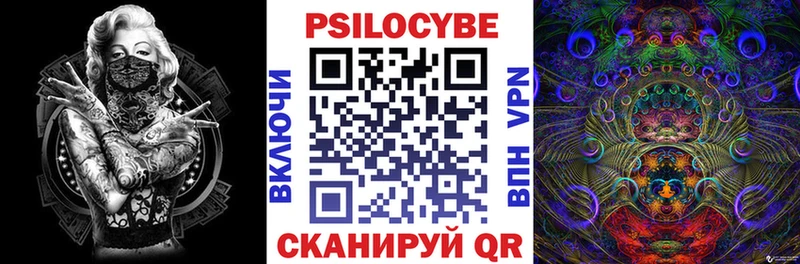 закладки  Калач-на-Дону  Галлюциногенные грибы Psilocybe 