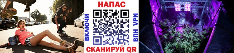 МАРИХУАНА сатива  даркнет как зайти  Калач-на-Дону  цена наркотик 